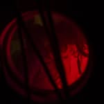 lolocornet profile picture