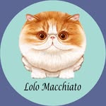 lolomacchiato profile picture