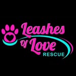 lolrescue profile picture