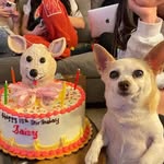 lomitossuavecitos profile picture
