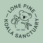 lonepinekoala profile picture