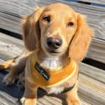 longboybinx profile picture