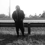lordchilla profile picture