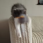 lorenebrouty profile picture