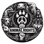 lorin_818 profile picture