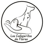 loscallejeritosdeflores profile picture