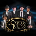 loscarlosjulios profile picture