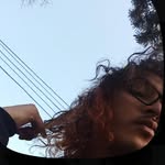 loselefantesnuncaolvidan profile picture