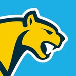 lospumasuar profile picture
