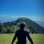 lost_aviator profile picture