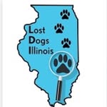lost_dogs_illinois profile picture