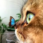 lostinnaturepics profile picture