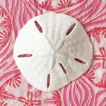lottybunbury profile picture