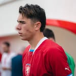 louisbuffon9 profile picture