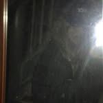 louiselynghbjerregaard profile picture