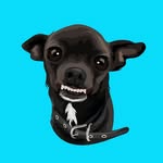 louisozeri profile picture