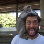 louisslopez profile picture