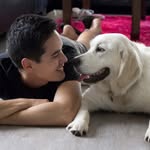 louis_the_golden profile picture
