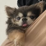 lovableraz profile picture