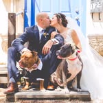 loveabulllisa profile picture