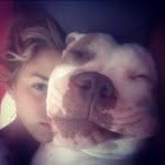loveandlayers profile picture