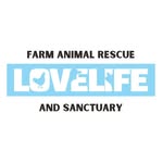 lovelifeanimalrescue profile picture