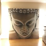love_life_balance_ profile picture