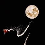 loveling27 profile picture