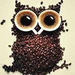love_owl_obsession profile picture