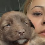 lovepaws_sbht profile picture