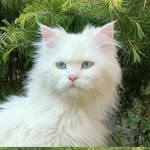 love_toedits profile picture