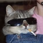 lovusosa profile picture