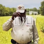 loxley_film profile picture