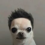 lsdxoxo profile picture