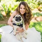 lsh886 profile picture