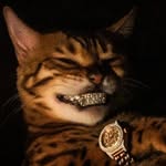 ltybhmhsn profile picture