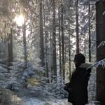 lu_gwron profile picture