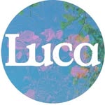 luca.earth profile picture