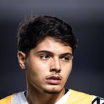 luca.meirelles profile picture