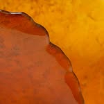 lucas.recchia profile picture