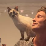 lucasjsatherley profile picture