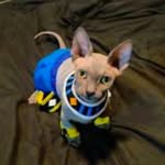 lucasnine profile picture