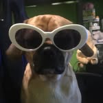 lucci_o_0 profile picture