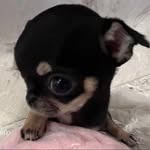 luciamcaceres profile picture
