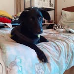 lucie402455 profile picture