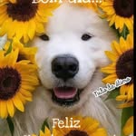 lucimar.nascimento.583234 profile picture