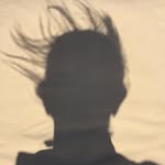 lucindachambers profile picture