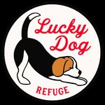 luckydogrefuge profile picture