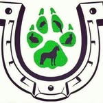 luckypawanimalrescue profile picture