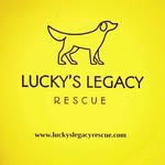 luckys_legacy_rescue profile picture
